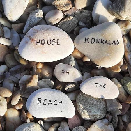 House Kokkalas On The Beach Pyrgadikia Eksteriør bilde