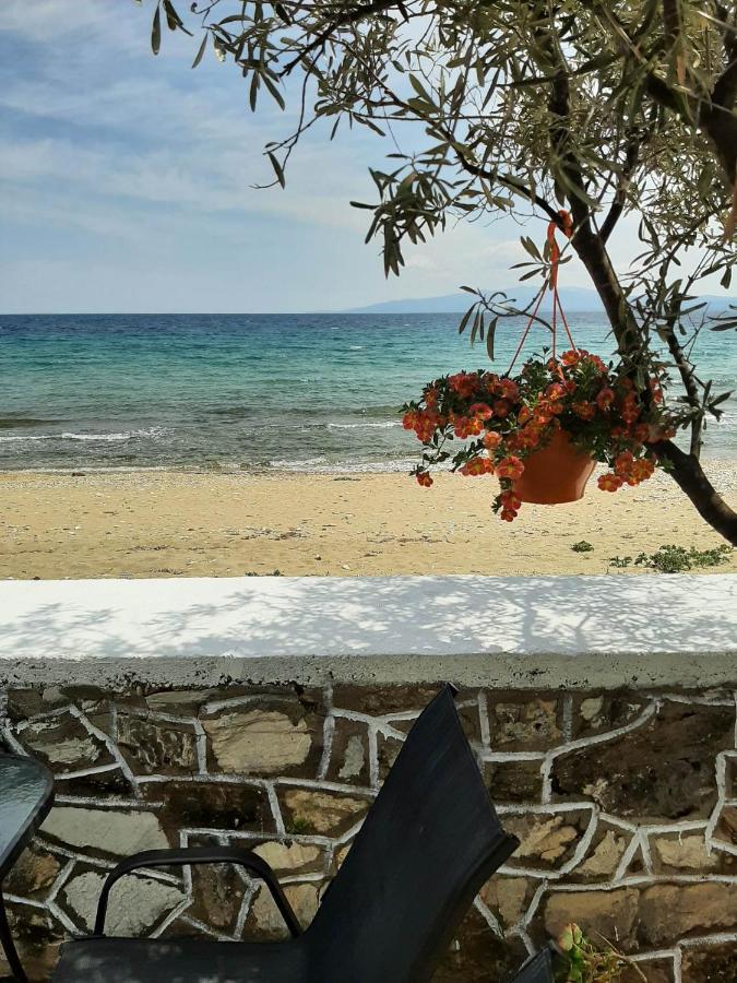 House Kokkalas On The Beach Pyrgadikia Eksteriør bilde